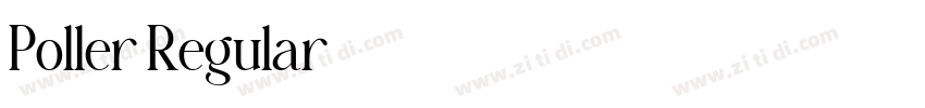 Poller Regular字体转换